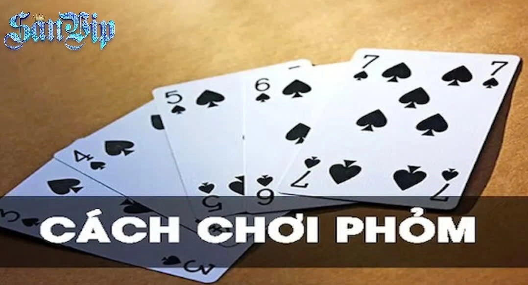 Tìm Hiểu Cơ Bản Về Bài Sanvip